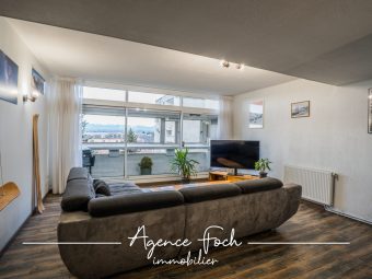 MAGNIFIQUE T3 RENOVE A TARBES VUE PYRENEES