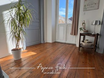 A VENDRE, CORPS DE FERME RENOVÉ, A 5 MINUTES DE TARBES AVEC GRAND JARDIN