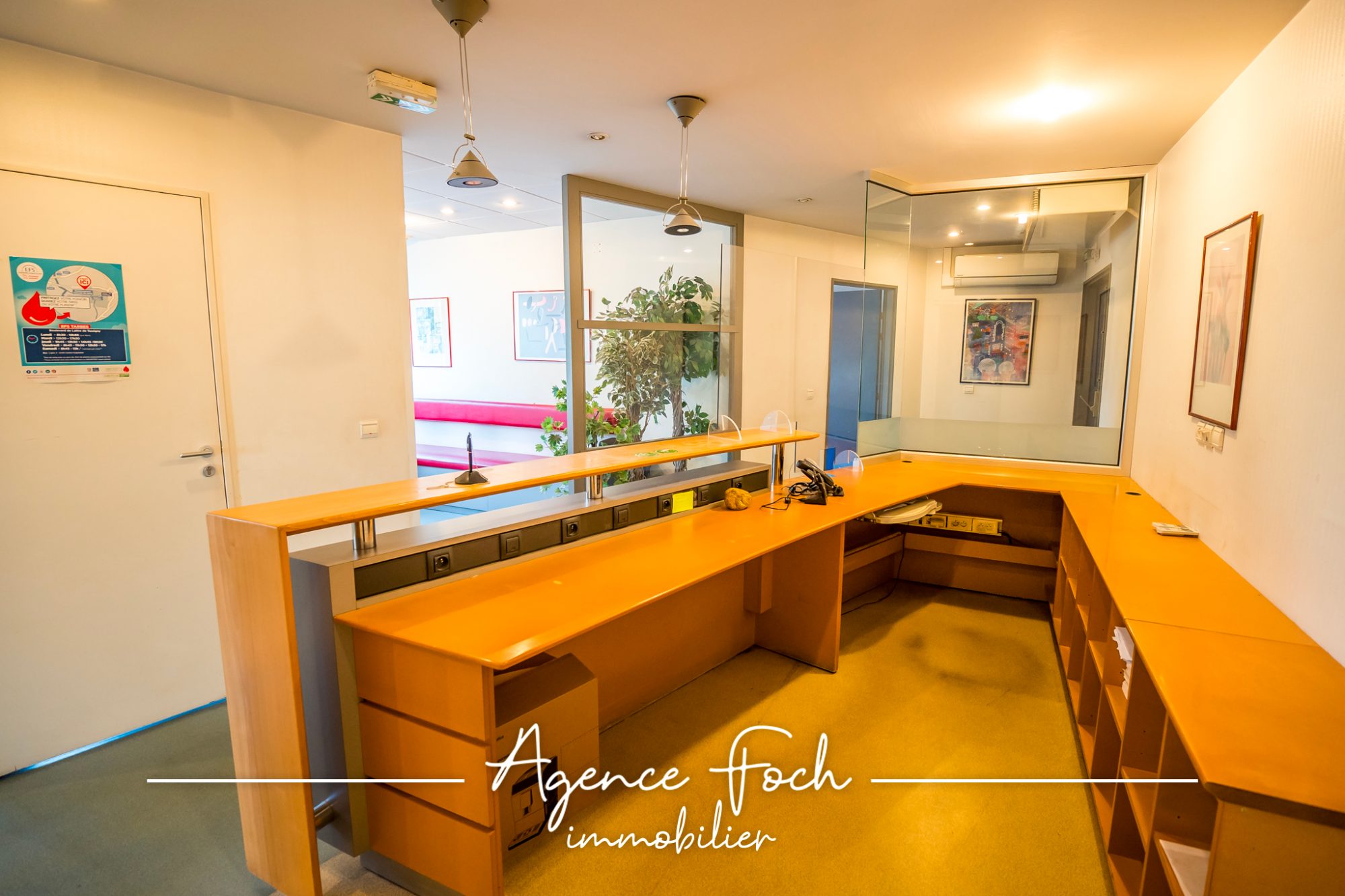 LOCAL PROFESSIONNEL 5